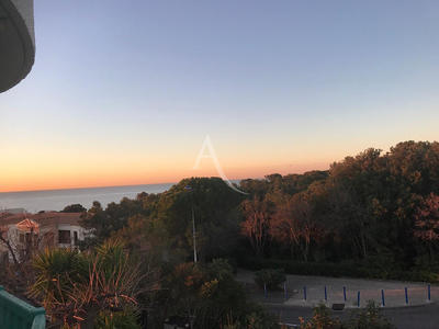 Appartement - 28 m² - 1 pièce