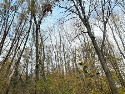 Terrain - 235 000 m²