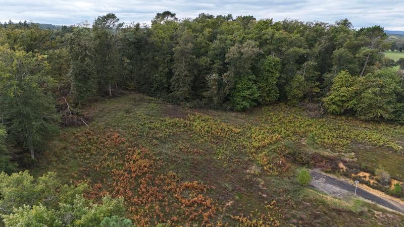 Terrain de lotissements - 9 459 m²