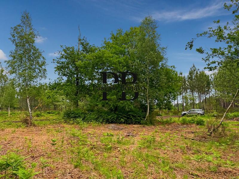 Terrain de loisirs - 2 327 m²