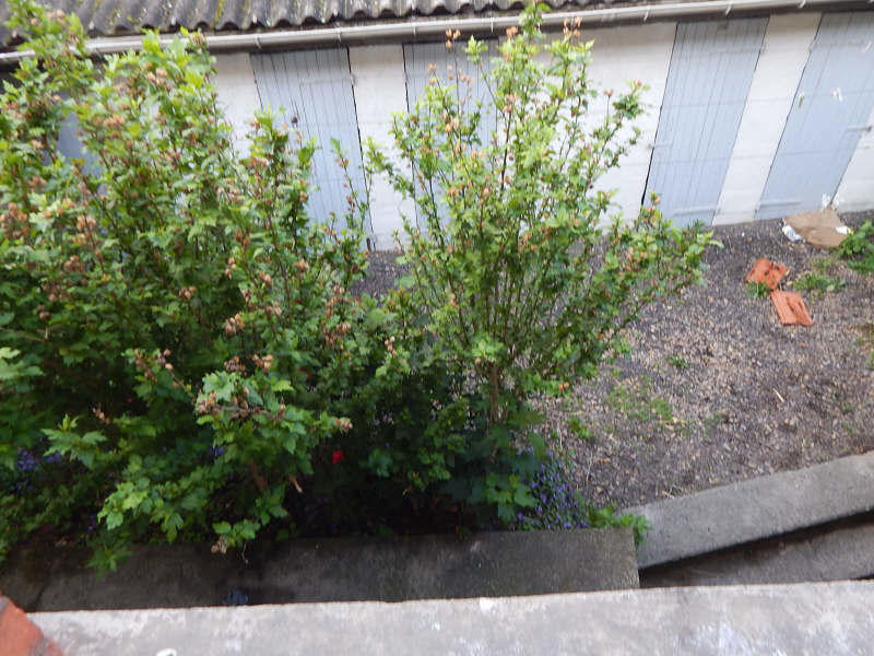 Appartement - 64 m² - 4 pièces