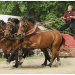 La Ferme du Cheval de Trait