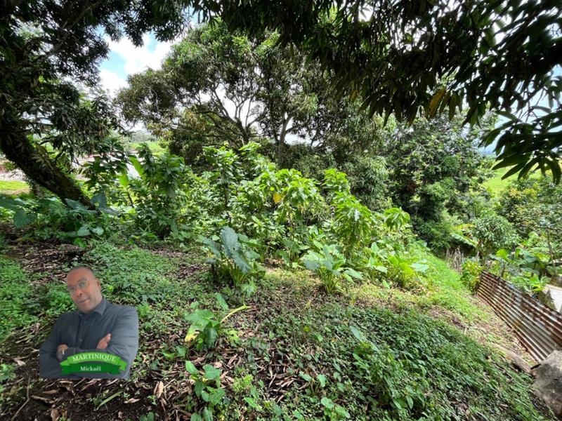 Terrain constructible - 1 480 m²