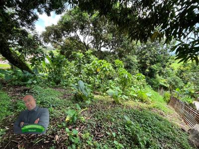 Terrain constructible - 1 480 m²