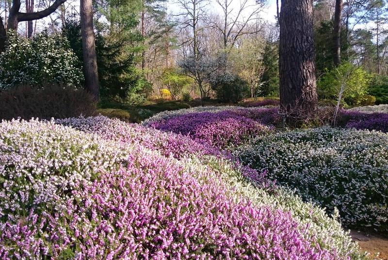 Bienvenue à l'Arboretum