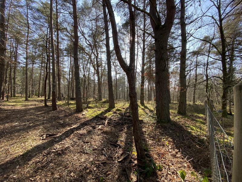 Maison - 210 m² - 6 pièces