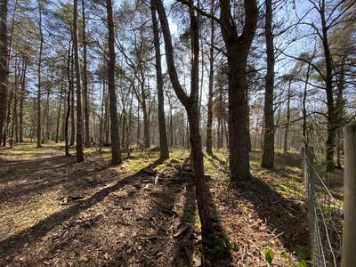 Maison - 210 m² - 6 pièces