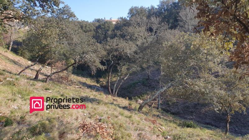 Terrain constructible - 3 000 m²
