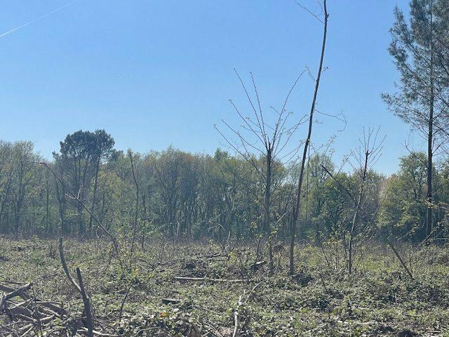 Terrain agricole - 55 394 m²