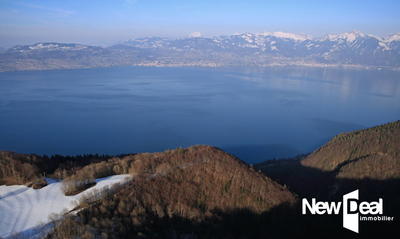 Châlet - 66 m² - 3 pièces