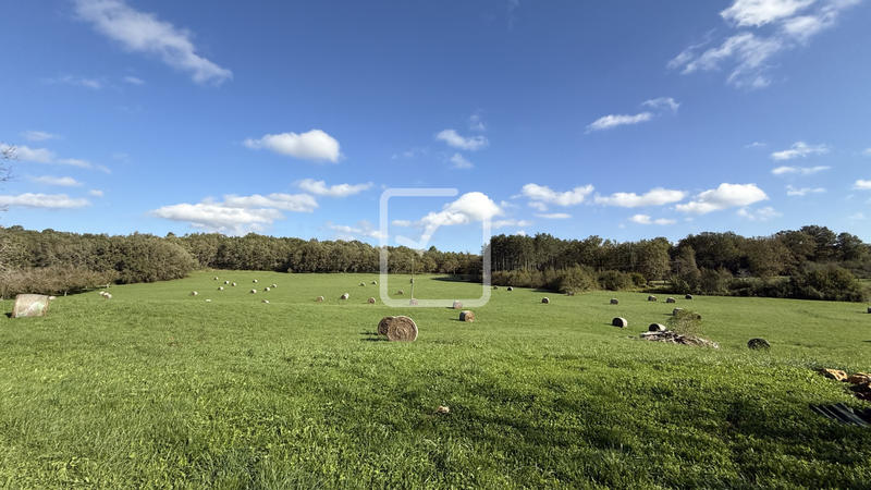 Ferme - 104 m² - 5 pièces