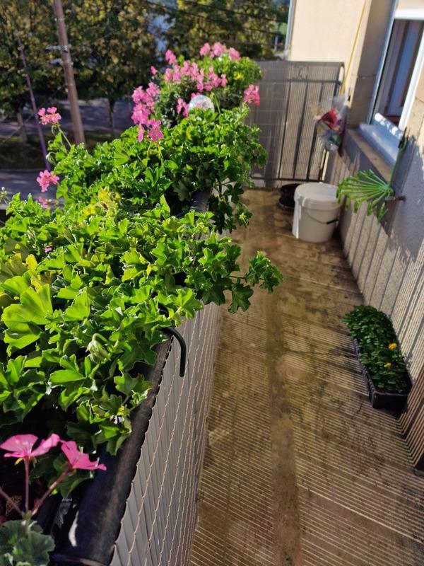 Immeuble - 240 m² - 10 pièces