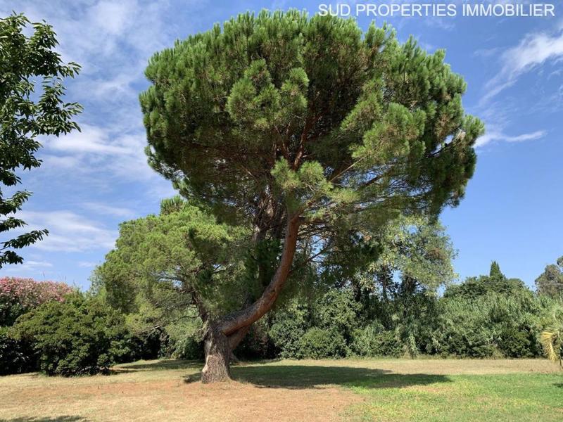 Propriété - 315 m² - 9 pièces