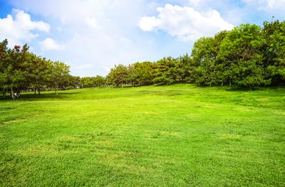 Terrain constructible - 802 m²