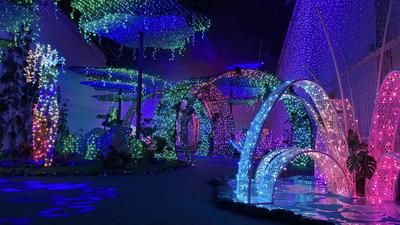 Maison illuminée de Saint-Jean le Blanc