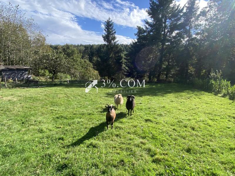 Châlet - 100 m² - 3 pièces