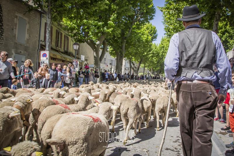 Fête de la Transhumance 2026