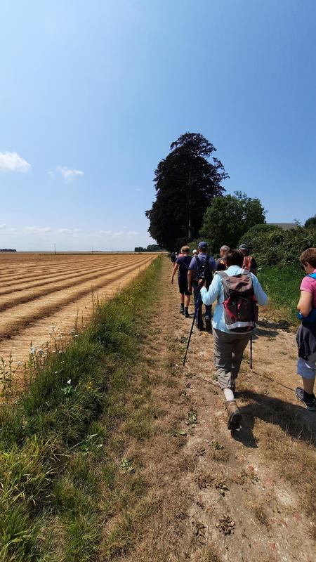 Randonnée pédestre