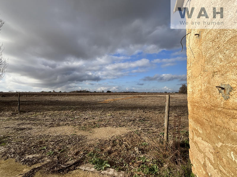 Propriété - 133 m² - 6 pièces