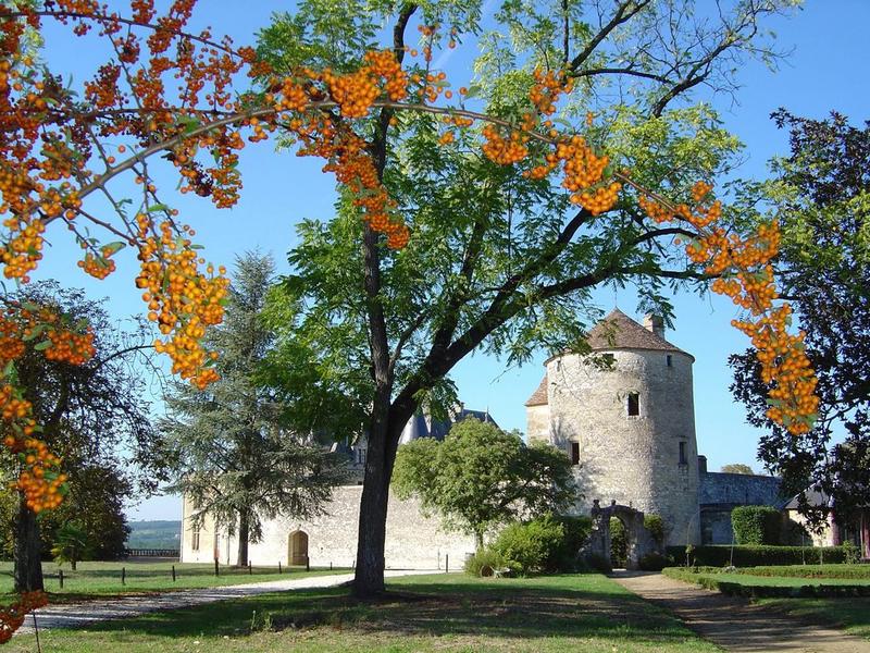 Châteaux en fête - Château de Montaigne