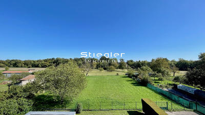 Appartement - 51 m² - 2 pièces