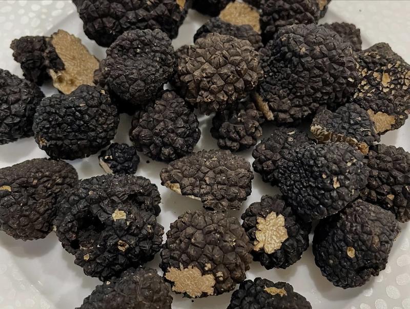 Week-end autour de la truffe à la Villa de la Croix