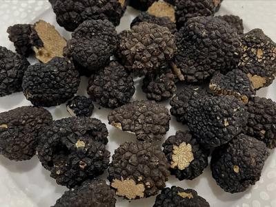 Week-end autour de la truffe à la Villa de la Croix