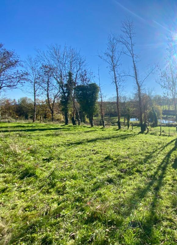 Terrain constructible - 1 325 m²