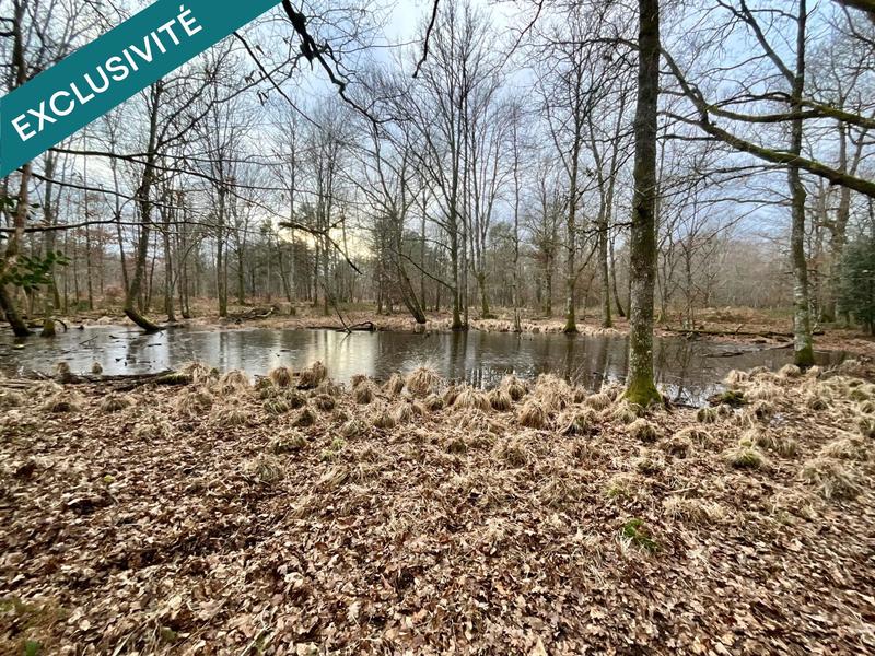 Terrain - 419 062 m²