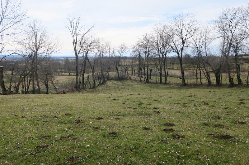 Maison - 45 m² - 2 pièces