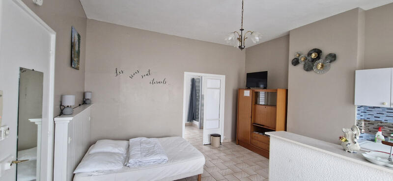 Viager - Maison - 216 m² - 9 pièces