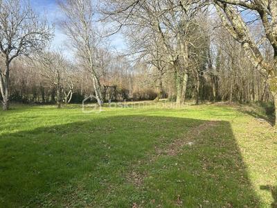 Maison en pierre - 177 m² - 6 pièces