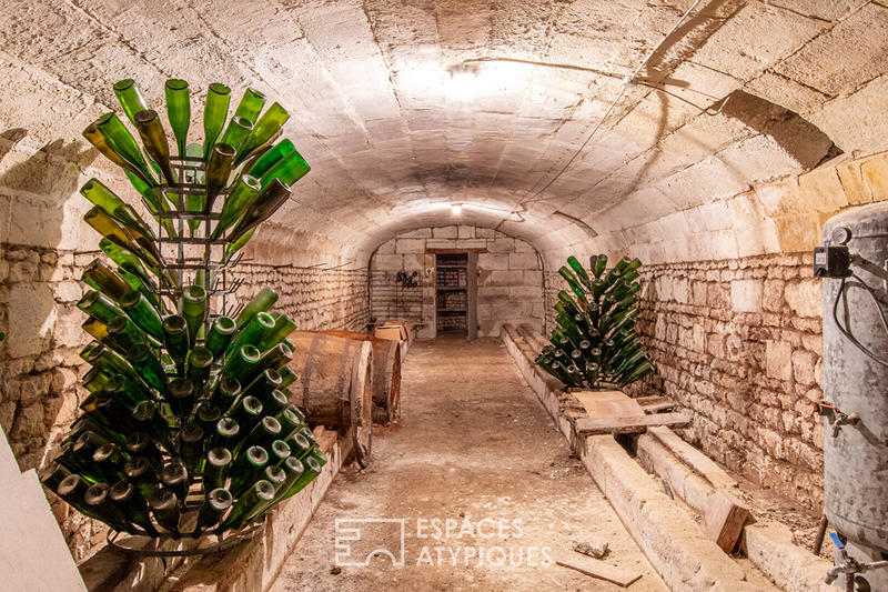 Maison - 460 m² - 12 pièces