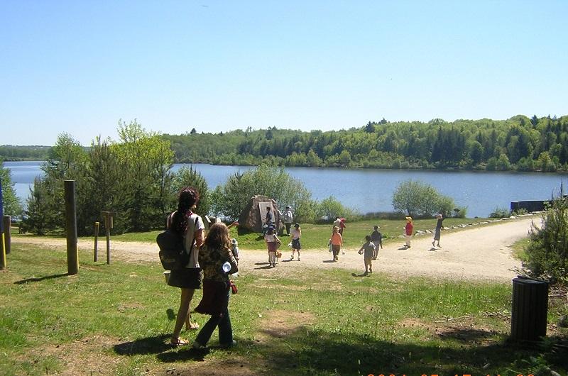 Eté actif - « Libellules »