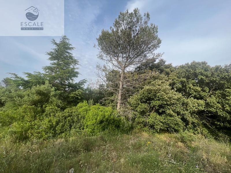 Terrain - 6 091 m²