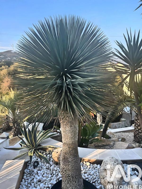 Maison de maîtres - 326 m² - 7 pièces