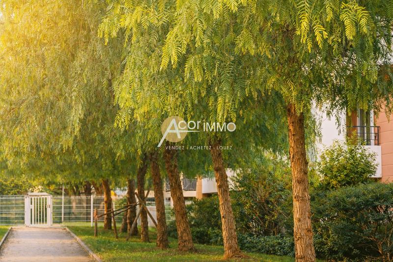 Appartement - 54 m² - 3 pièces