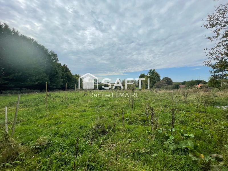 Terrain - 11 965 m²