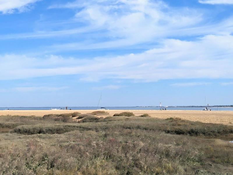 Appartement - 28 m² - 2 pièces