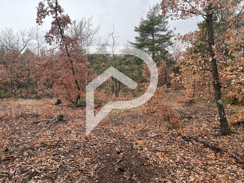 Terrain agricole - 37 641 m²