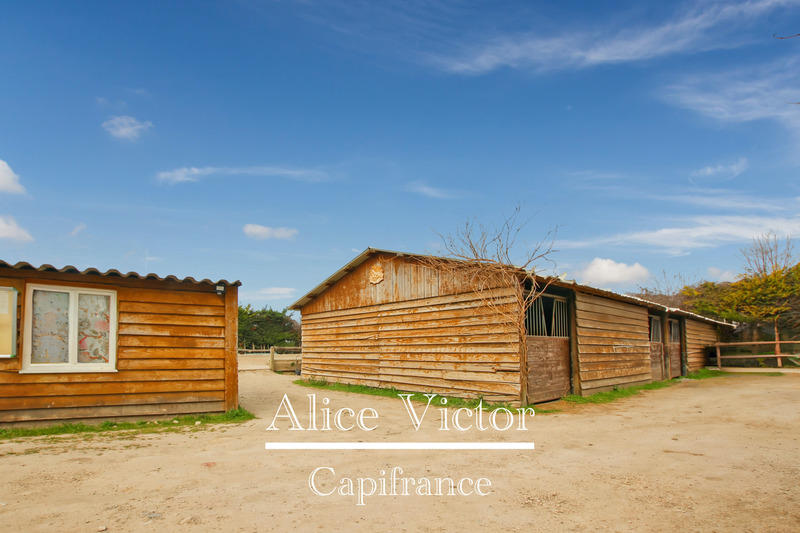 Maison - 355 m² - 12 pièces