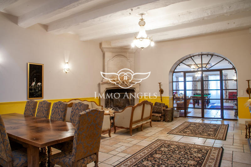 Château - 1 400 m² - 38 pièces