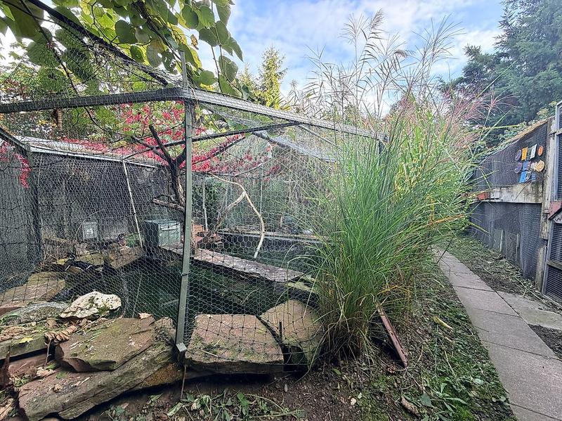 Maison - 175 m² - 5 pièces