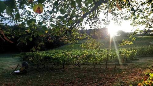 Terrain constructible - 828 m²