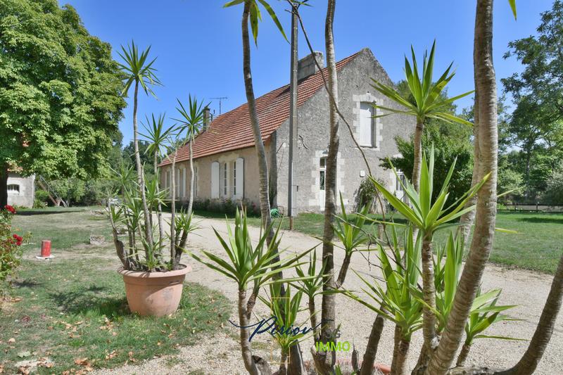 Local commercial - 563 m²