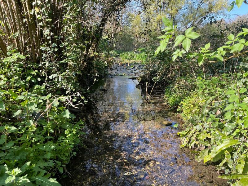 Maison de maîtres - 300 m² - 9 pièces