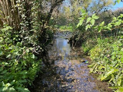 Maison de maîtres - 300 m² - 9 pièces