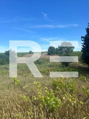 Terrain de loisirs - 3 695 m²