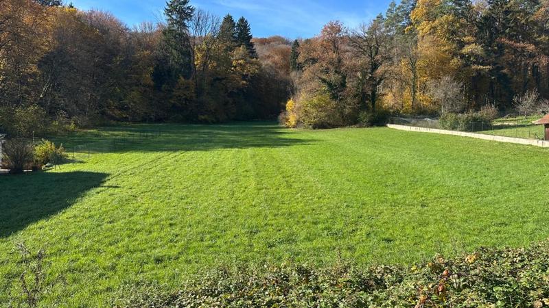 Terrain constructible - 2 660 m²