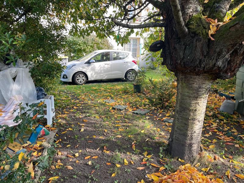 Appartement - 50 m² - 3 pièces